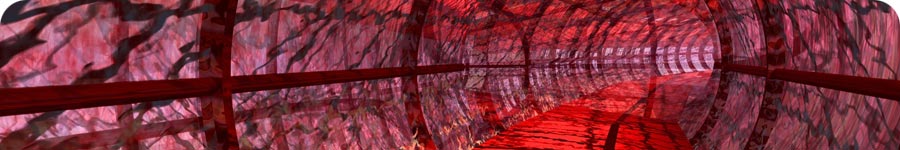 representaci�n grafica virtual del interior de una arteria